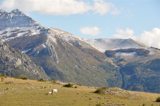 Paesaggi e panorami Sibillini