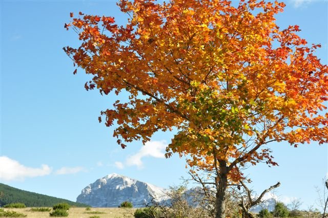 Paesaggi e panorami Sibillini