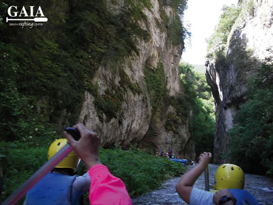 gole_di_biselli_corno